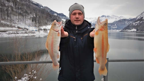 26.12.2020 Levente Barabas Goldforelle