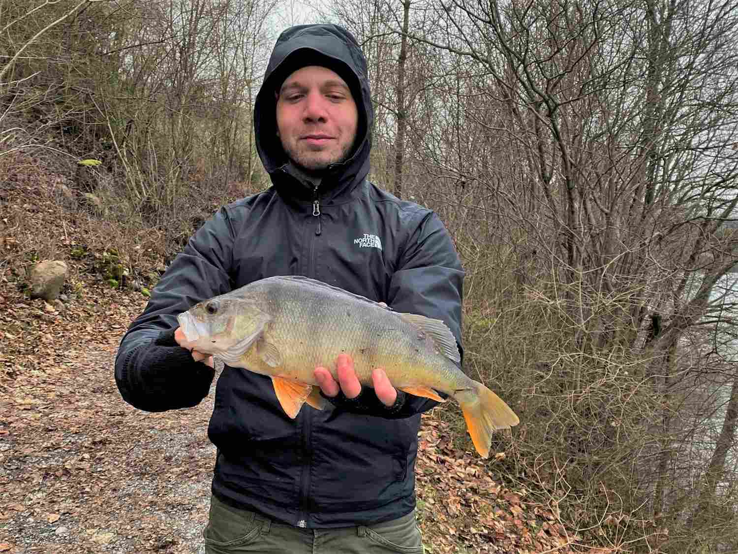 28.12.2022 Luca Rozza Egli 46cm