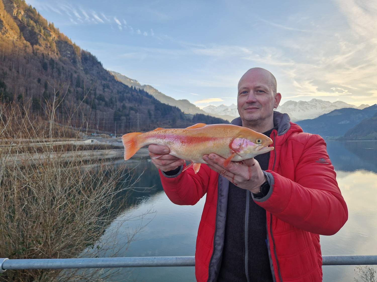 06.02.2024 Rene Kotte Goldforelle 40cm 1kg