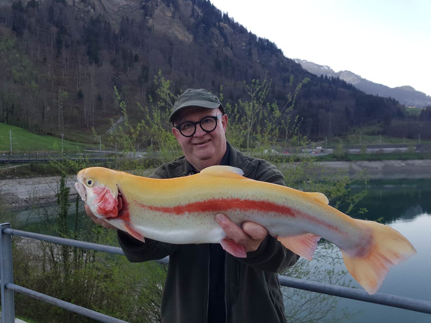 12.04.2024 Heinz Gaberthüel Goldforelle 60cm 1.95kg