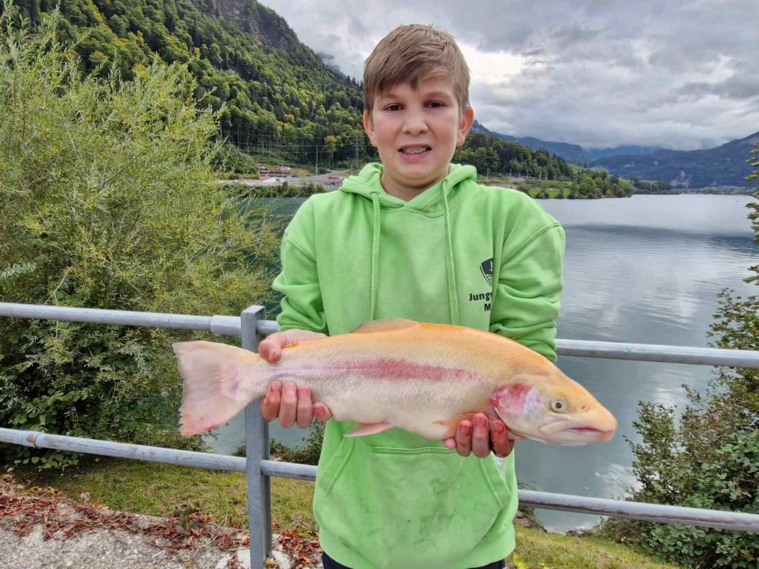 02.10.2024 Bachmann Nico Goldforelle 45cm 2.95kg