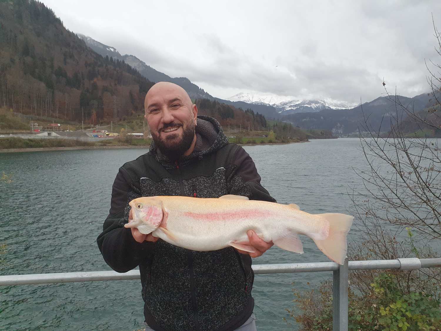 19.11.2024 Labinot Hasanaj Goldforelle 51cm 1.72kg