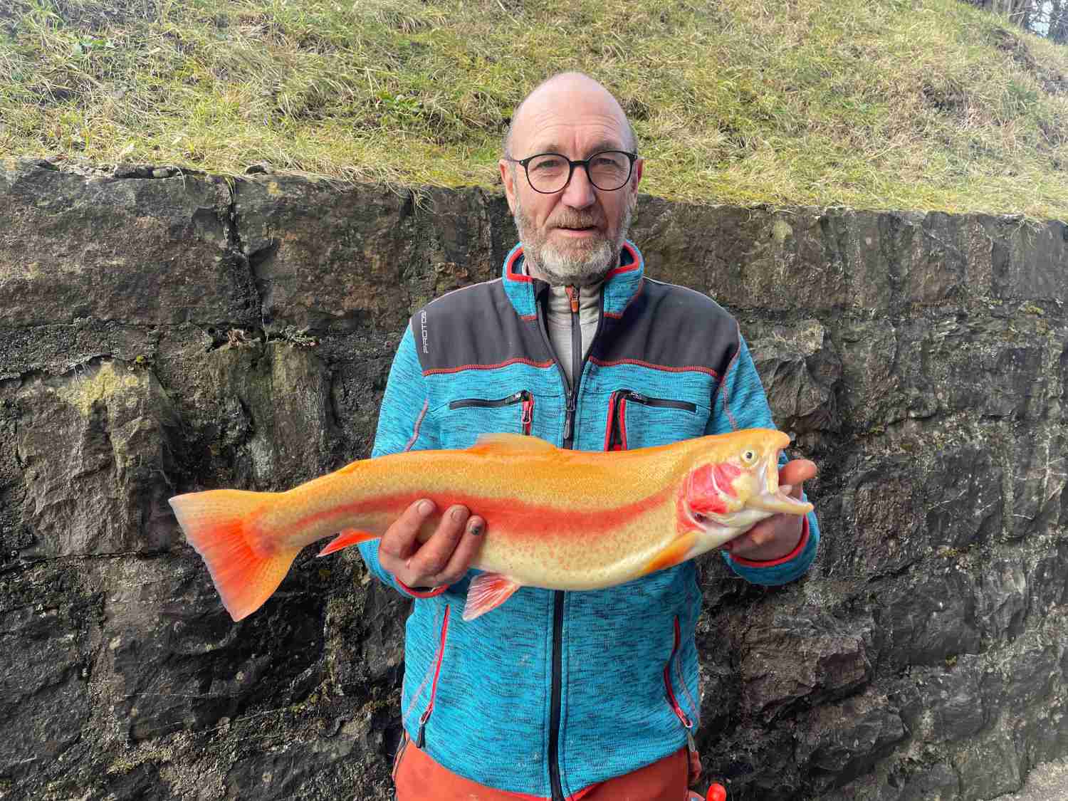 24.01.2025 Adrian Bachmann Goldforelle 57cm