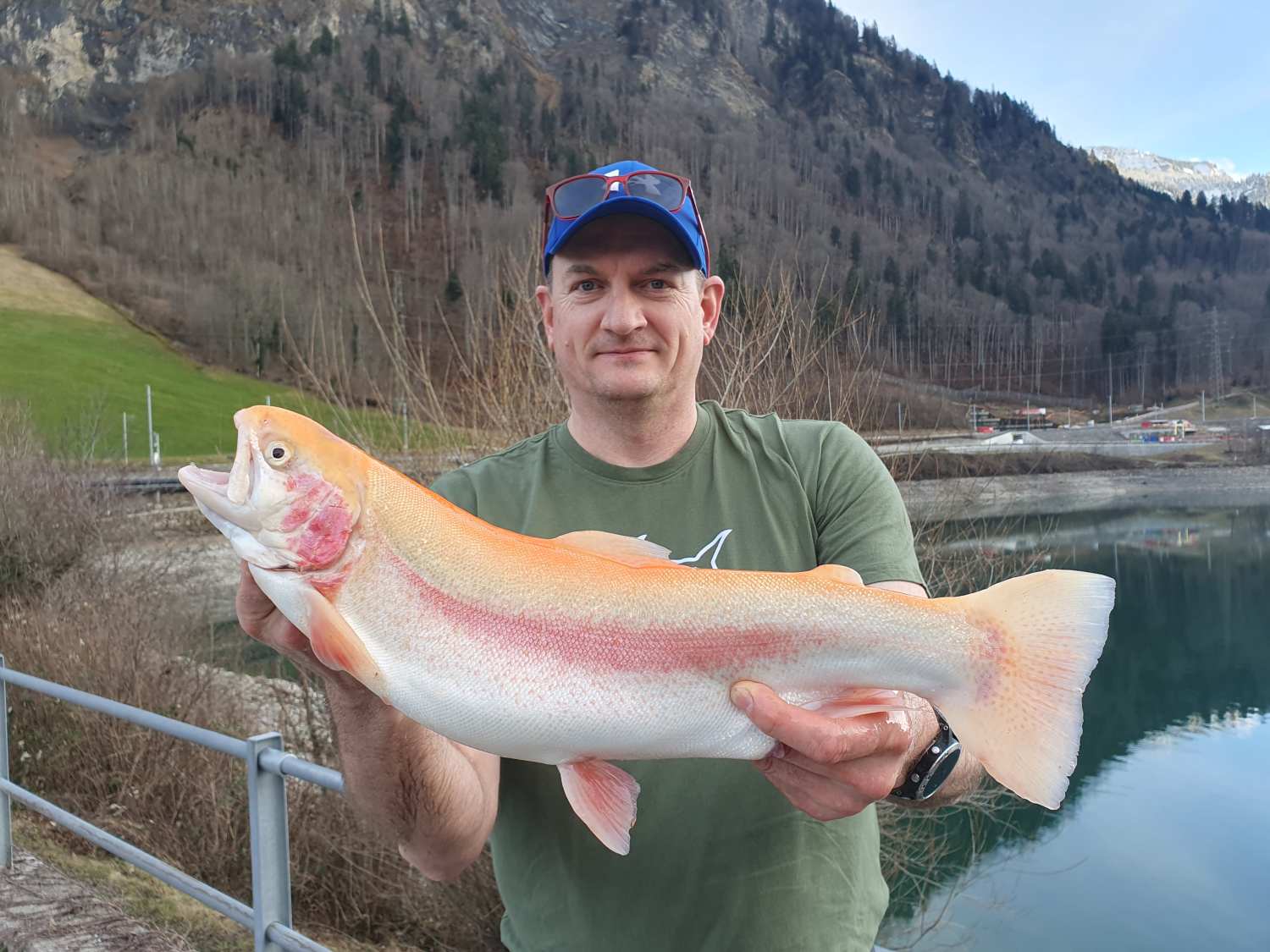 29.01.2025 Beat Wyss Goldforelle 52cm 1.92kg