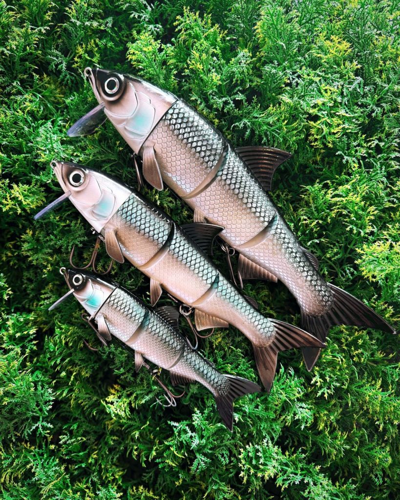 Hechtfischen