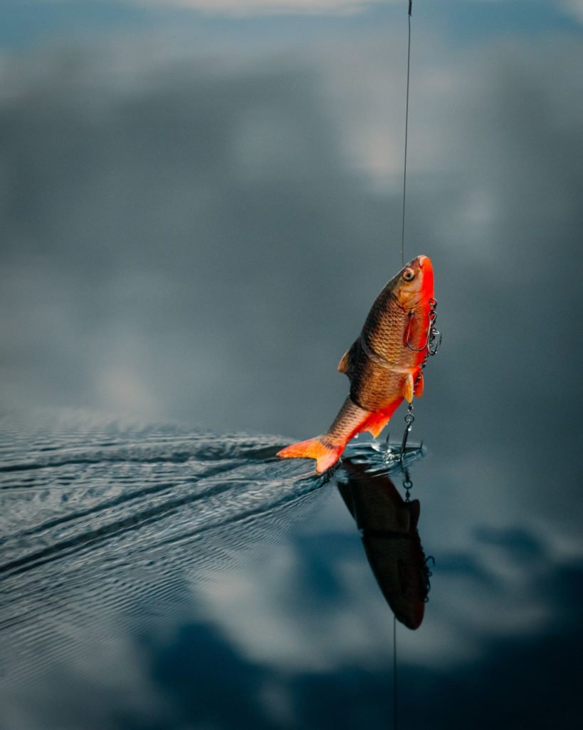 Hechtfischen