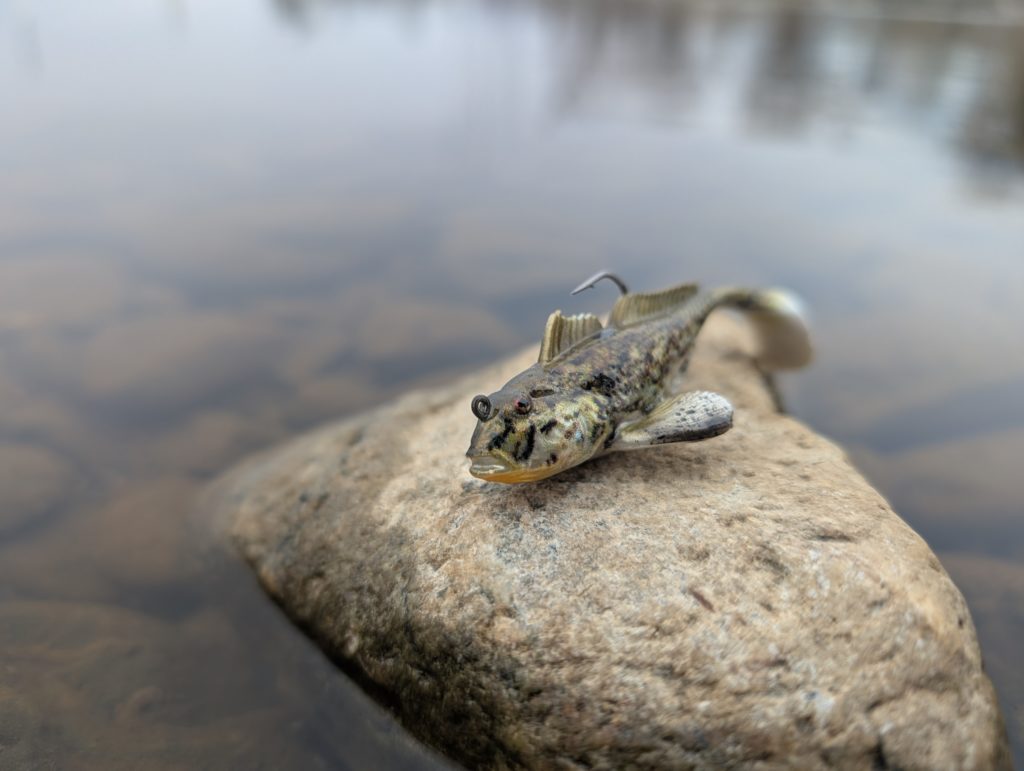 Westin Gunnar the Goby