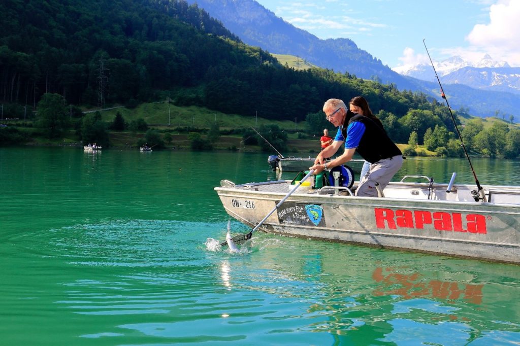 Forellenfischen im Sommer