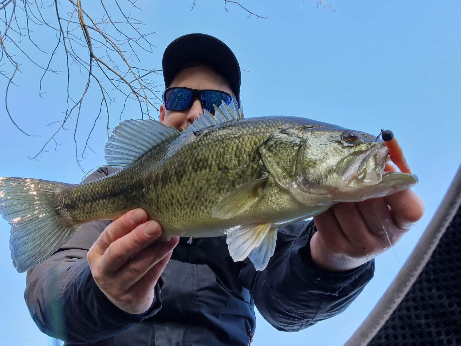 Ned Rig Bass