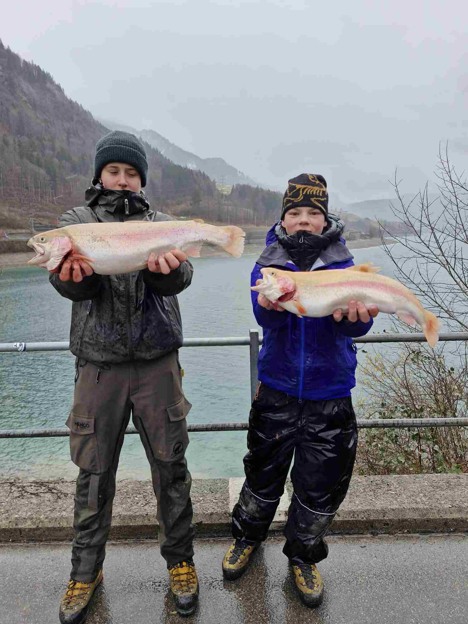 11.02.2026 Melk Staub Golforelle 55cm 1.9kg recht, Noyan Rohrer Goldforelle 55cm 2.2kg