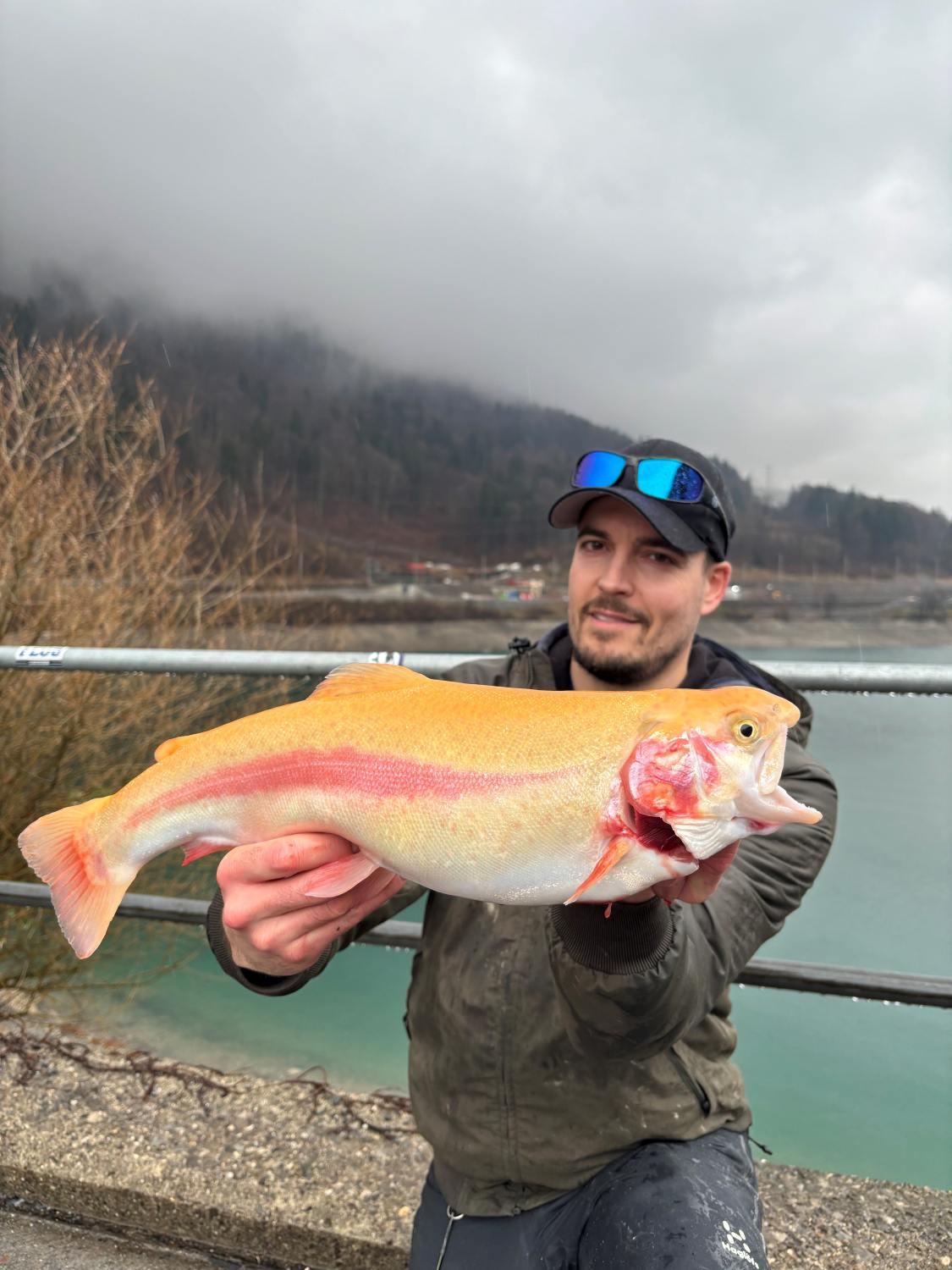 14.02.2026 Tobias Baumgartner Goldforelle 50cm 1.6kg