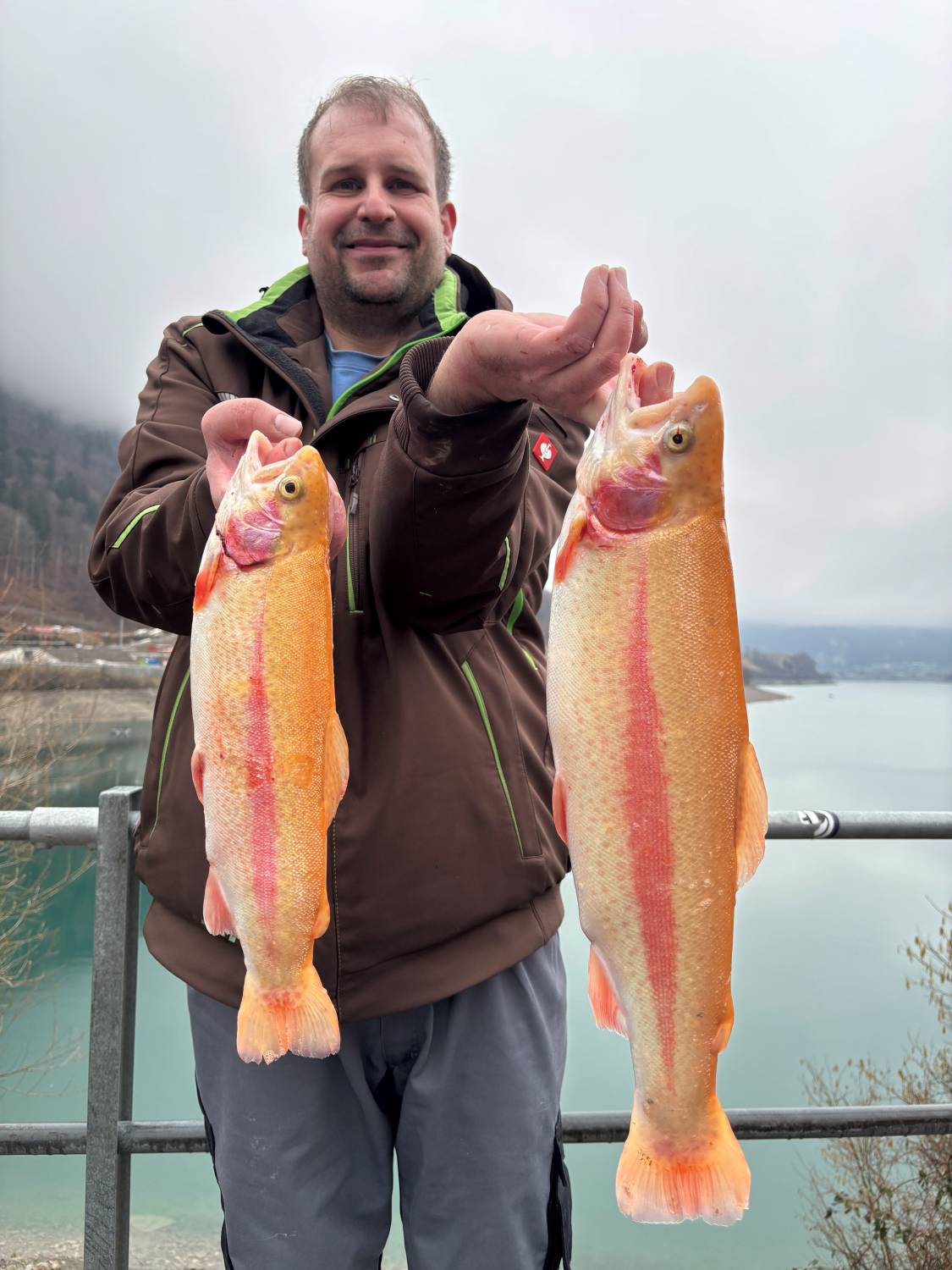 14.02.2026 Werner Willener Goldforelle 50cm 1.6kg, rechter Fisch