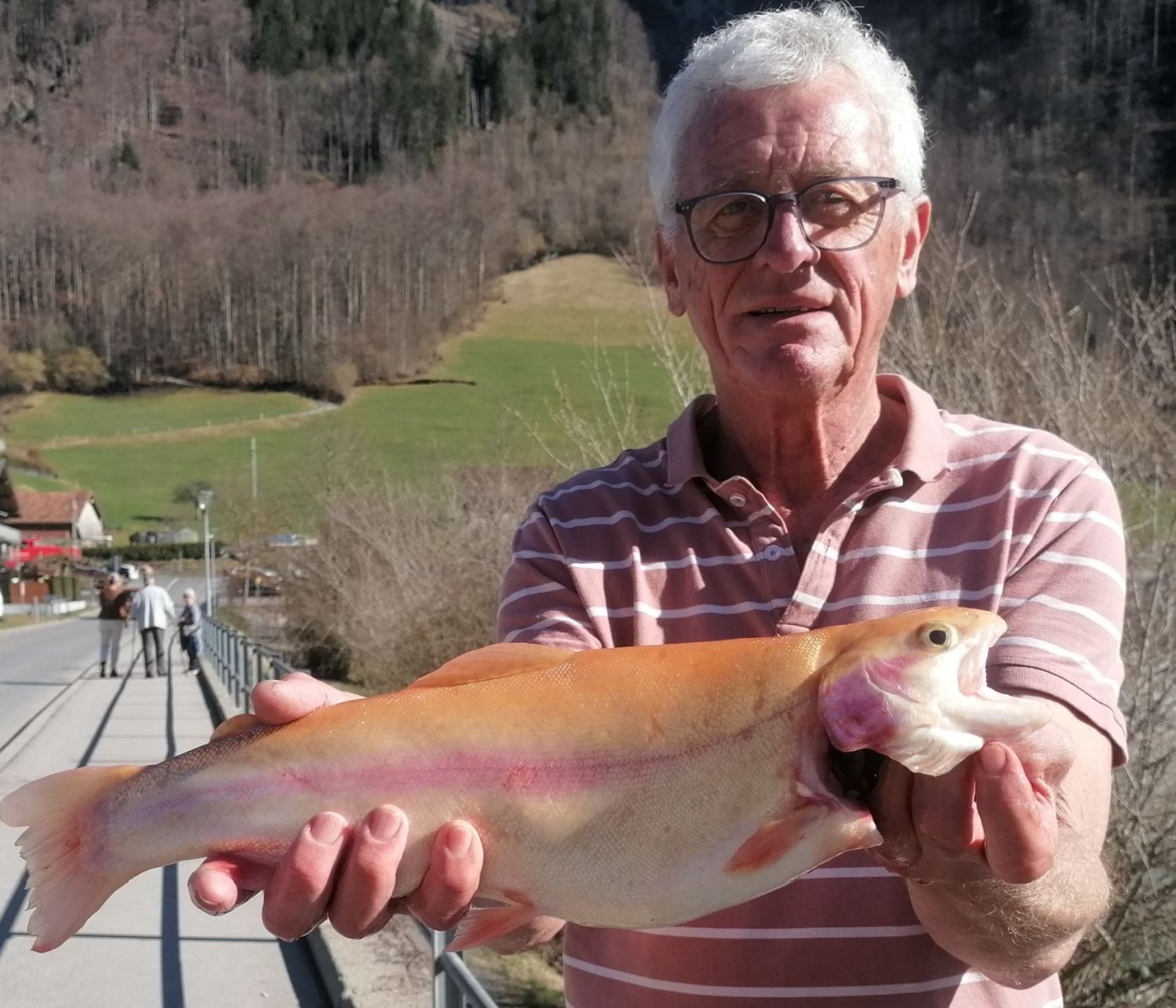 27.02.2026 Werner Saladin Goldforelle 46cm 1.4kg