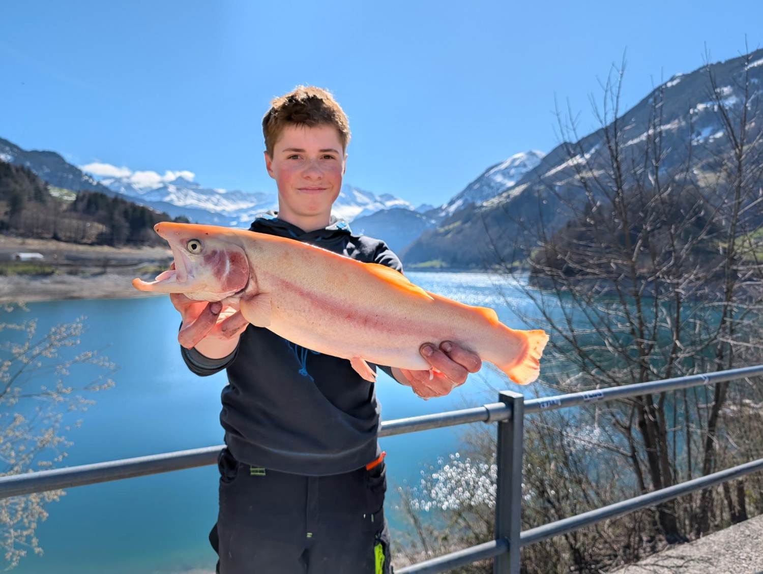 04.04.2026 Nino Gisler Goldforelle 50cm 1.2 kg