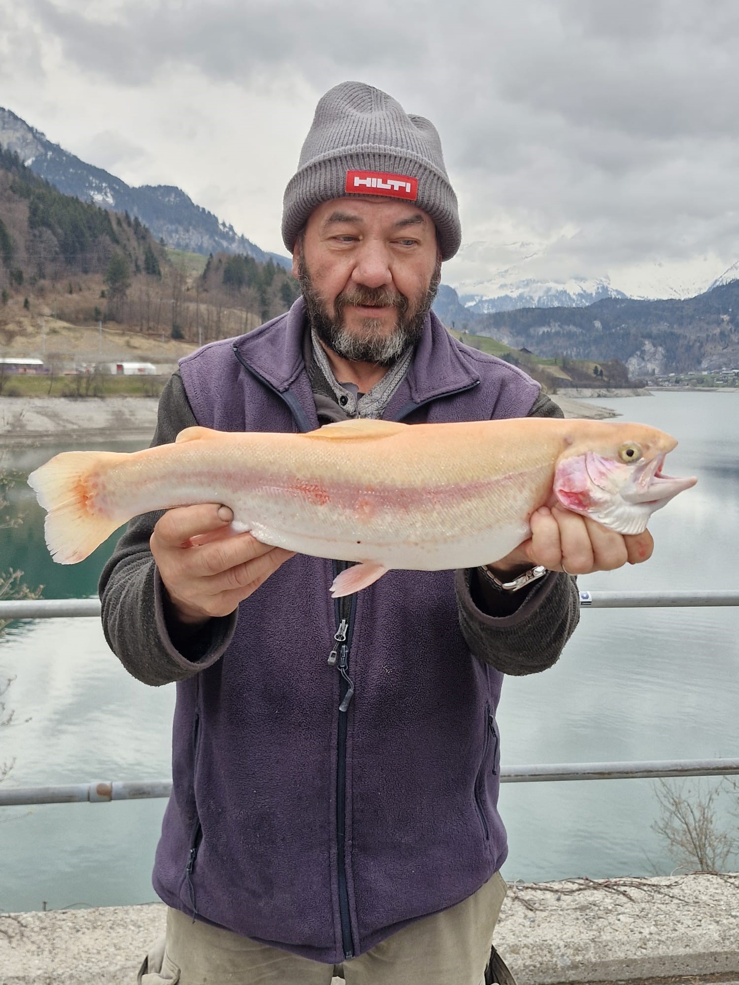 14.03.2026 Daniel Imfeld Goldforelle 51cm 1.6kg